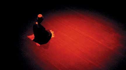 Die Verfolgung der Sufis
