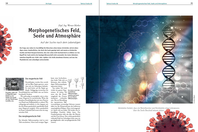 Werner Merker-Artikel als PDF