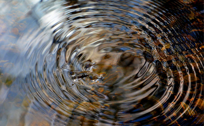 Eine kymatische Betrachtung über das Wasser