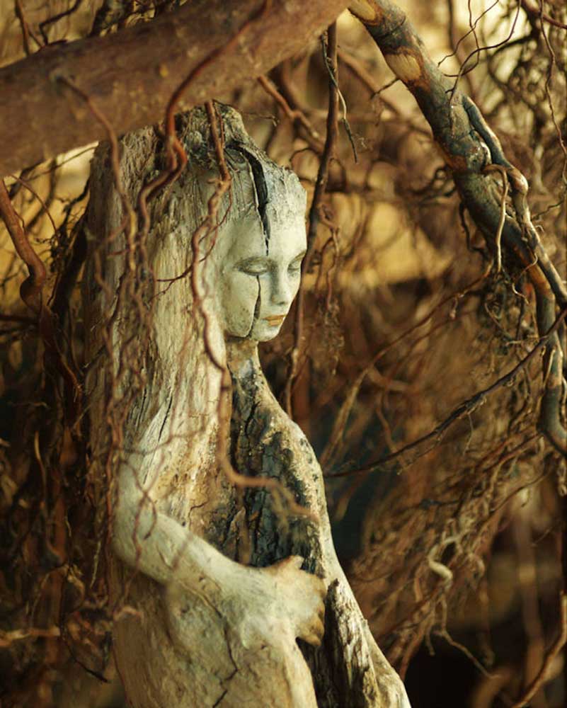 Heilung und Verbundenheit durch die Beziehung zur Erdseele und zu ihren Wesenheiten Die wahre Natur von Pflanzen und Menschen