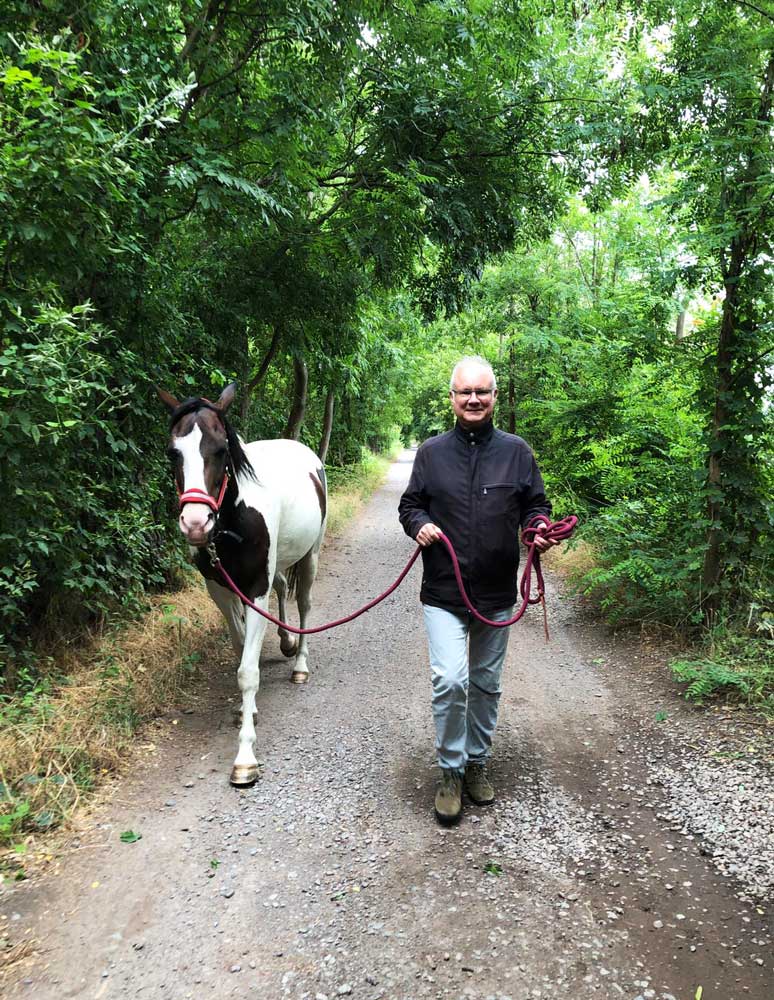 Meine Erfahrung mit dem Pferd Aleeshane