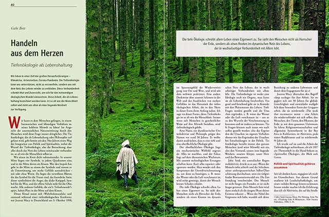Vollständiger Artikel als PDF