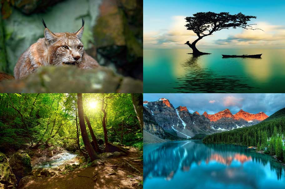 schmuziger-natur Die Natur in uns