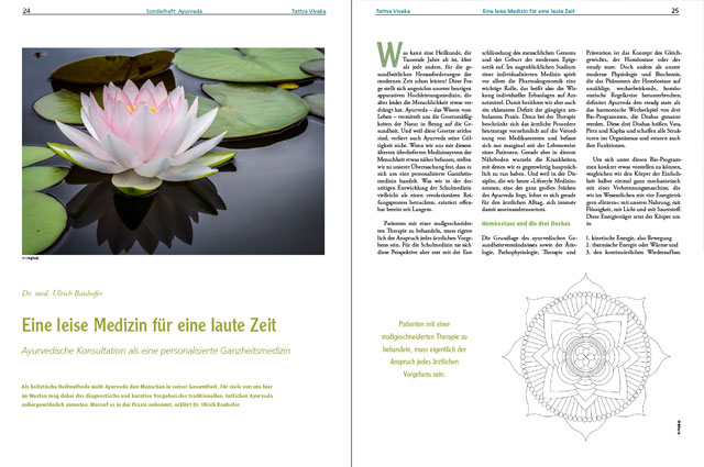 Vollständiger Artikel als PDF