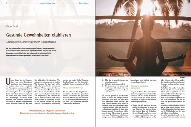 Vollständiger Artikel als PDF
