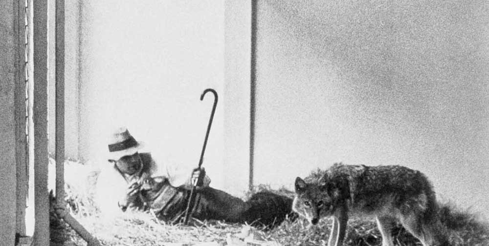 Kunst und Spiritualität bei Joseph Beuys Aktion: I like America and America likes Me, 1974