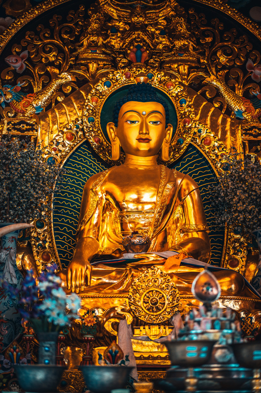 Spannende Artikel über Buddhismus in unserer Zeitschrift
