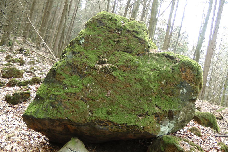 Großer Herzstein in »TANFANAs Geweihtem Haine«