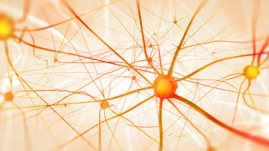 Das NeuroEmbodied Healing® Framework